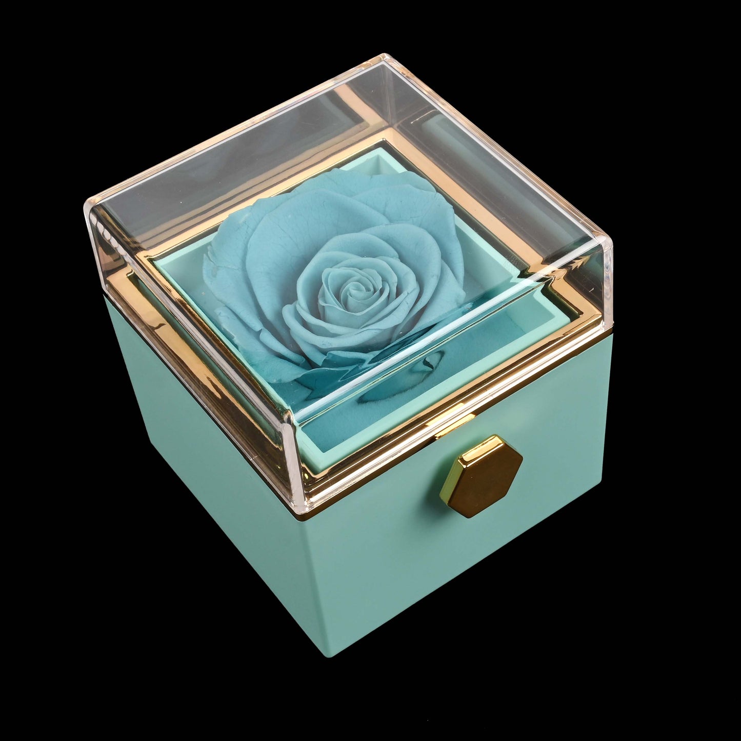 Sparkly Roses Eternal Rose Box - W/ Engraved Necklace & Real Rose